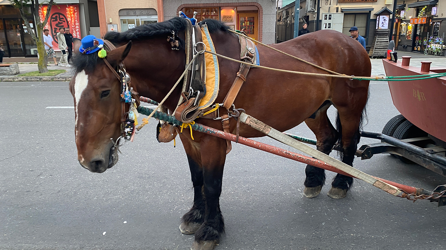 帯広のかわいい馬車