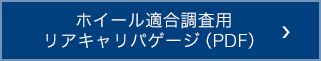 ホイール適合調査用リアキャリパゲージ（PDF）